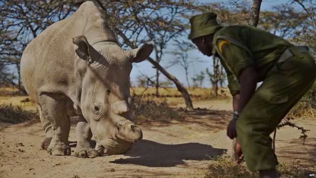 In Pictures: Focus On Africa In 2015