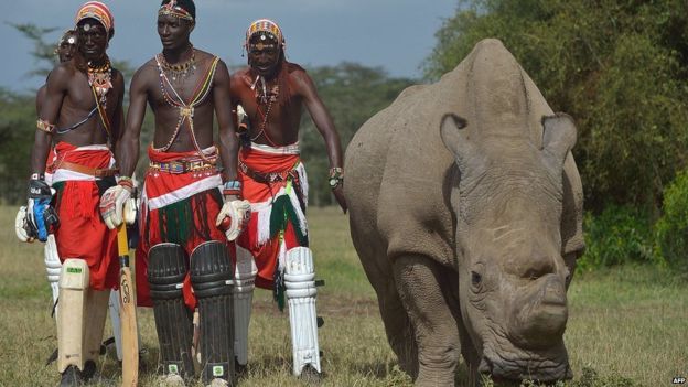 In Pictures: Focus On Africa In 2015