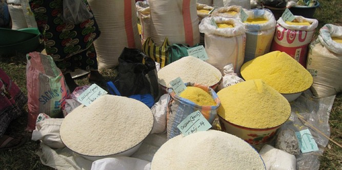 Lassa Fever: Health workers warn Nigerians to stop consuming garri
