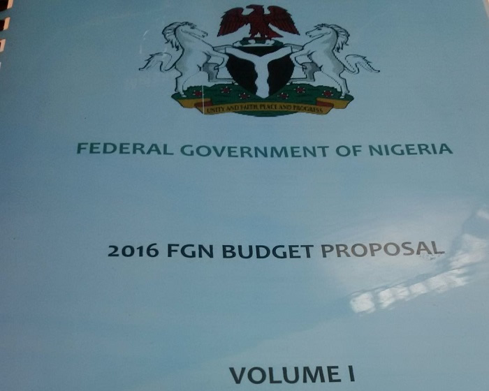 INVESTIGATION: 2016 Budget not missing in NASS