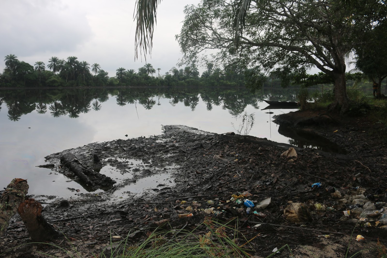 IYC backs Ogoni clean-up exercise