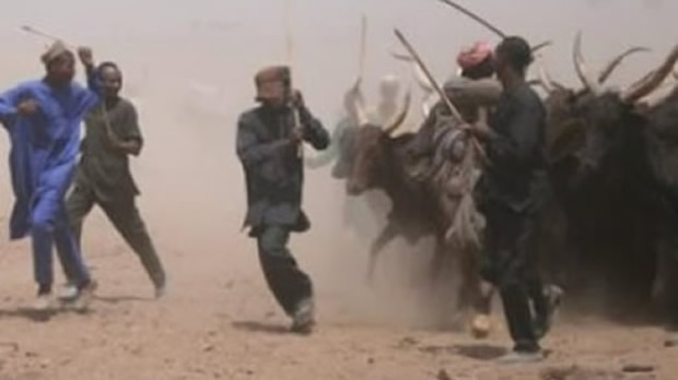 Herdsman arrested for stabbing farmer to death