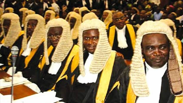 22 lawyers bag SAN status