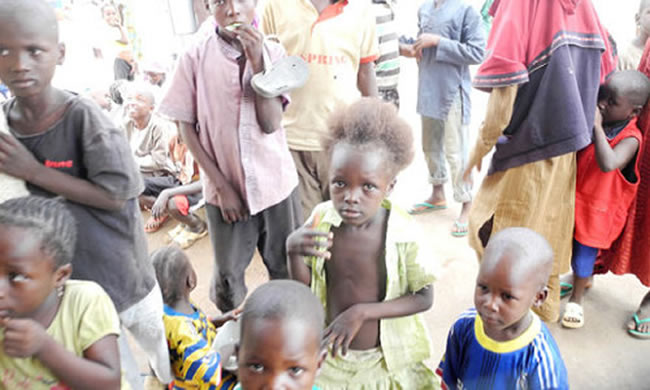 We’re evacuating all Abuja, Lagos IDPs back to Gwoza– Senator
