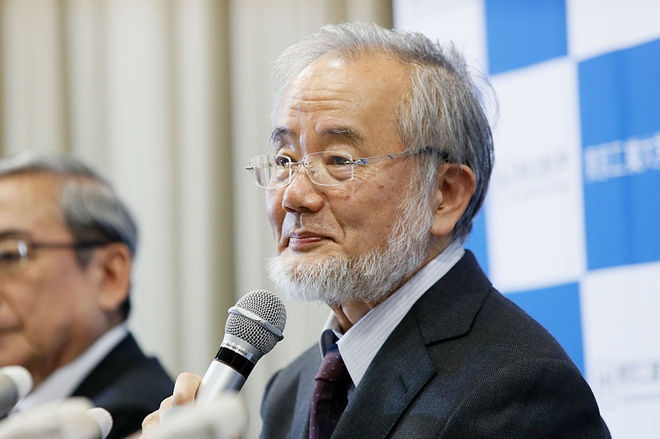 Japanese wins Nobel Prize for Medicine