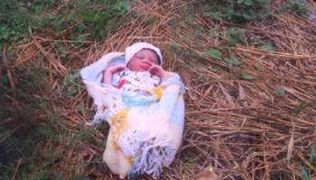 Newborn girl found in Bauchi  well