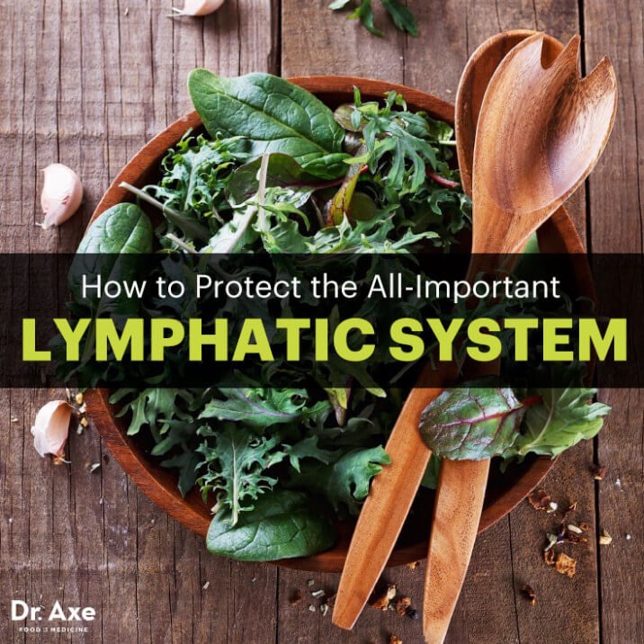 The Lymphatic System: How to Make It Strong & Effective