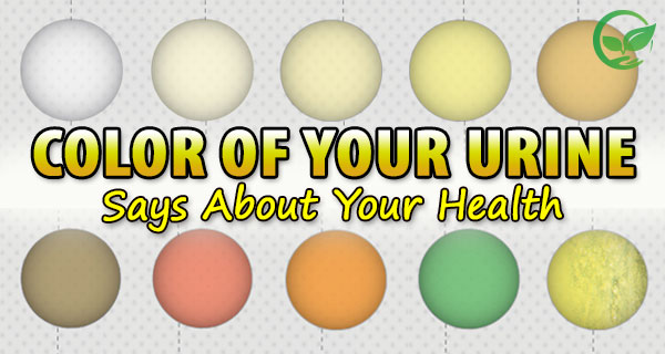 What The Urine Color Says About Your Health