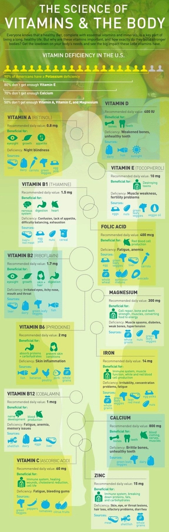 The Science of Vitamins and the Body