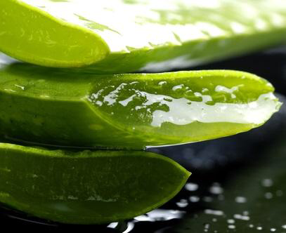 The miracle plant aloe vera and its 25 uses