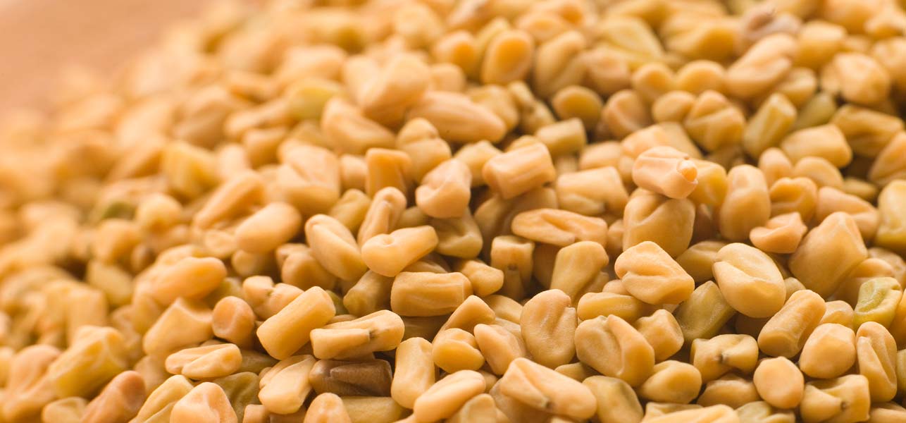 Benefits of fenugreek powder for health
