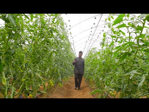 VIDEO: Vice President Yemi Osinbajo, SAN Commissions Projects in Taraba State