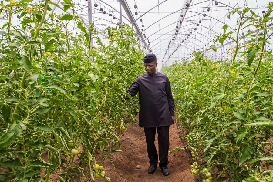 Photo News: Vice President Yemi Osinbajo, SAN visits Jalingo, Taraba State. 24th August 2017