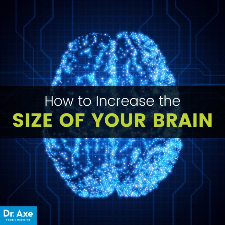 These 10 things literally increase the size of your brain