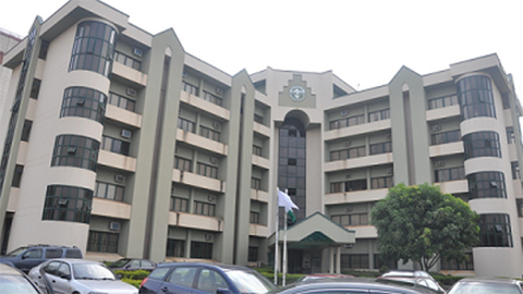 Buhari appoints Ojukwu as NHRC Boss