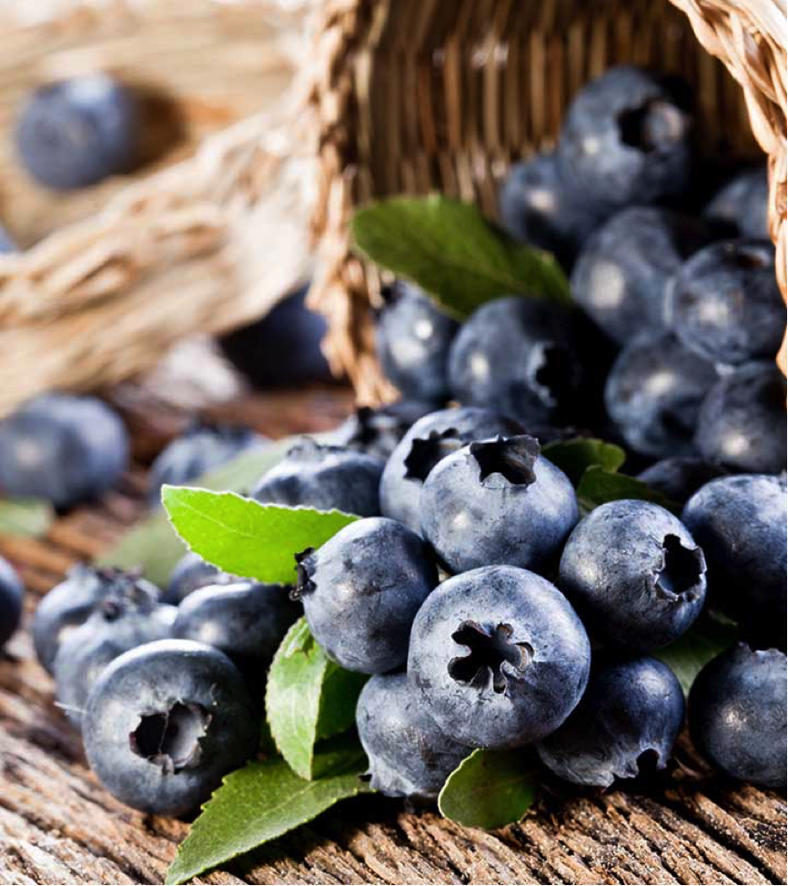 Health Benefits Of Blueberries By Falmata Zanna