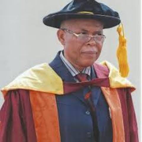 Buhari appoints Anyanwu provost of Alvan Ikoku College of Education
