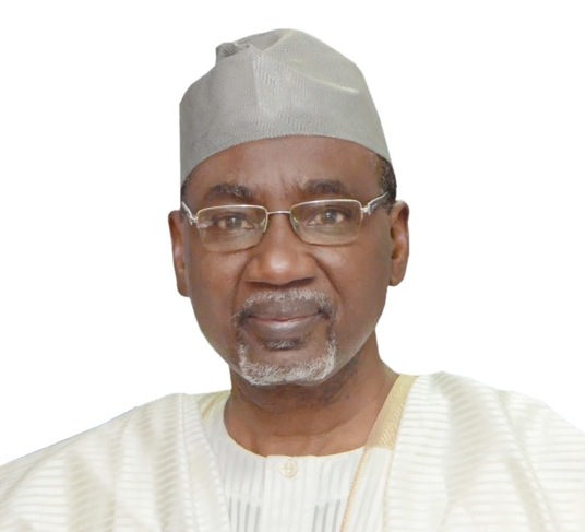 Ahmed Rufai Abubakar: Perfect fit for National Intelligence Agency