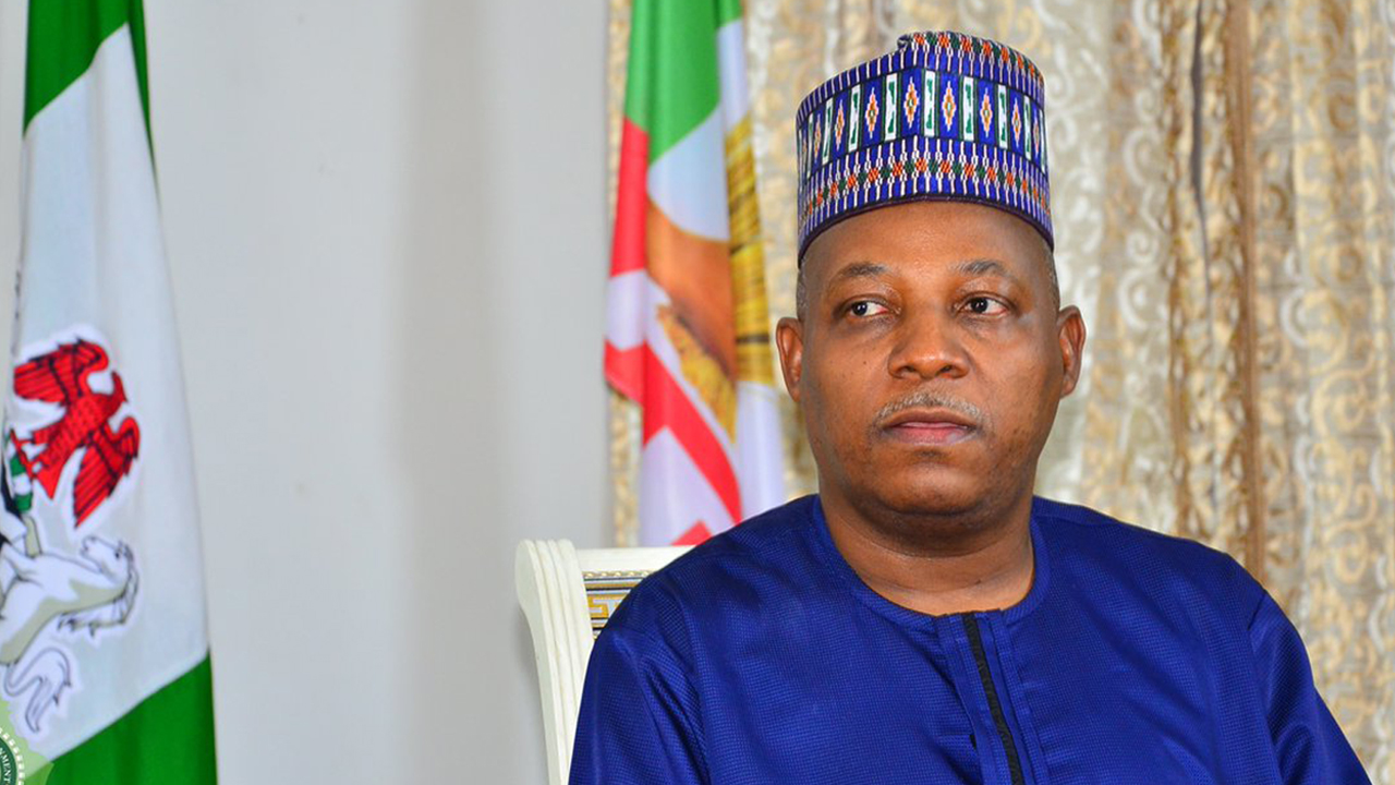 Borno governorship: APC chairman commends Gov Shettima, says no cause for alarm over multiple aspirants