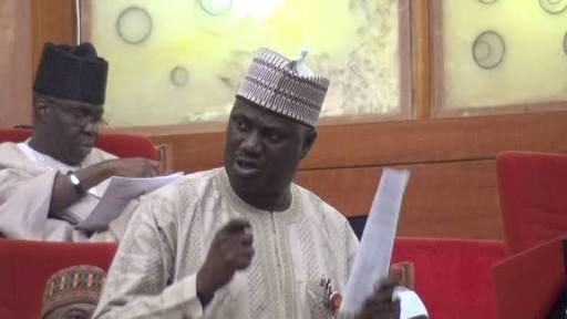 Senate spokesman, Sabi Abdullahi, loses out of APC primaries in Niger