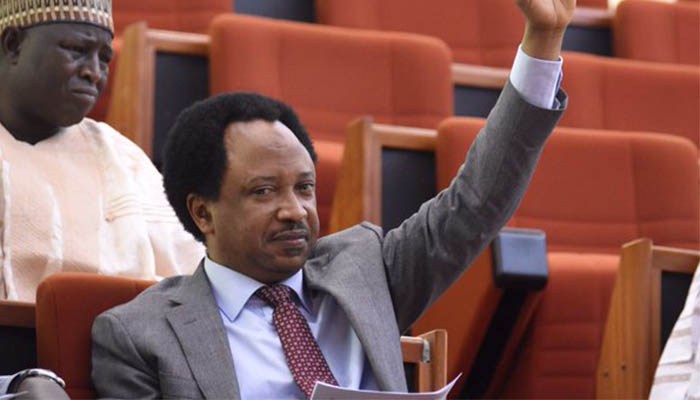 Shehu Sani resigns from APC in protest