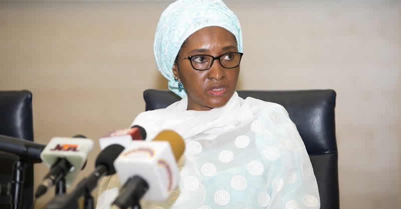 Nigerian govt approves $247mn foreign loan, seeks formula on fuel subsidy removal