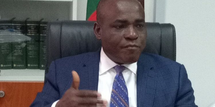 Nigerian govt earmarks N2.2bn in 2019 budget for implementation of Ruga programme – Enang