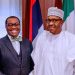 AfDB’s historic increase, vote of confidence in your leadership, Buhari tells Akinwunmi Adesina