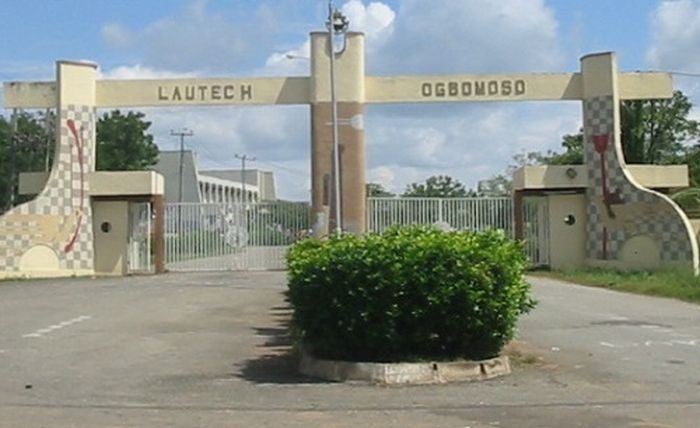 Oyo, Osun and LAUTECH: Counting the Cost