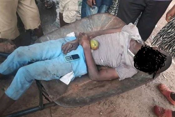 Barrow-pusher electrocuted while trying to pluck mango fruits with iron