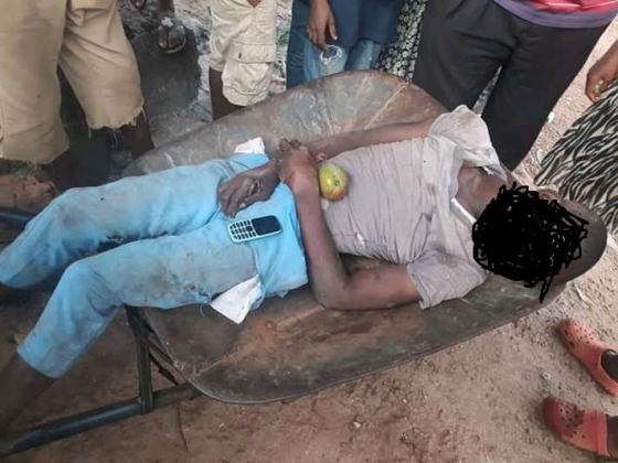 Barrow-pusher electrocuted while trying to pluck mango fruits with iron