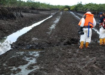 NNPC, JV partners disburse $360m for Ogoni Clean-up