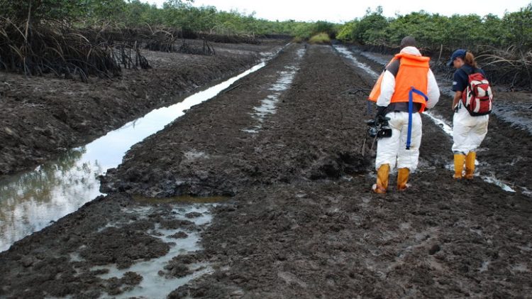 NNPC, JV partners disburse $360m for Ogoni Clean-up
