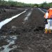 NNPC, JV partners disburse $360m for Ogoni Clean-up