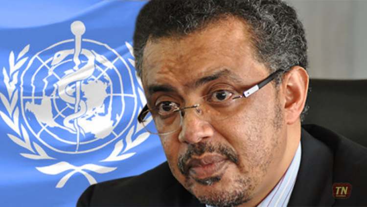 WHO: Coronavirus may spread further in Africa with onset of winter