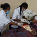 Beyond Florence Nightingale: how African nurses have decolonised the profession