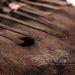 What archaeology tells us about the music and sounds made by Africa’s ancestors