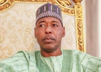 Zulum seeks NDPHC’s support for 132Kv lines extension to Borno LGs