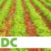 IFDC signs pact with EBID on soil health improvement in Nigeria, other W/Africa