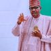 Buhari orders special focus on resurgent banditry in Zamfara state