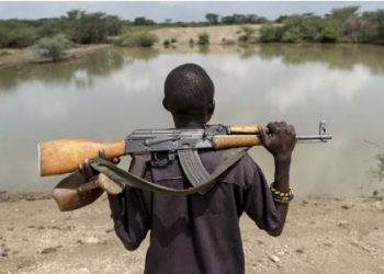 Poverty of governance and Illegal weapons in circulation