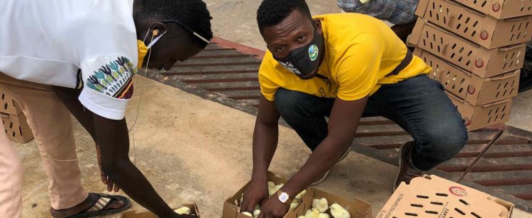 Banker-turned-poultry farmer becomes champion for African agriculture