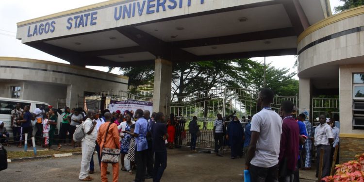 The way Nigeria selects vice-chancellors is deeply flawed. But it can be fixed