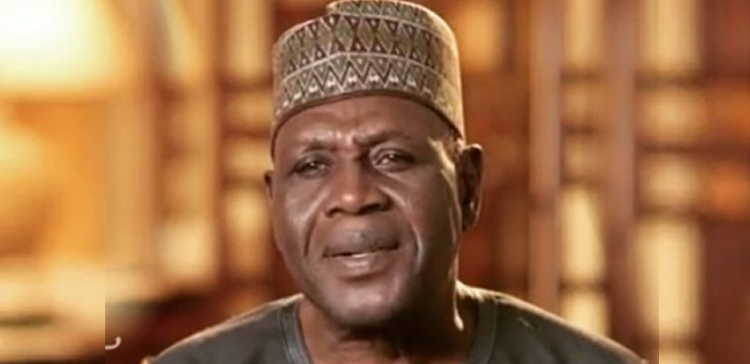 Buhari appoints Babagana Kingibe special envoy on Chad, Lake Chad basin region