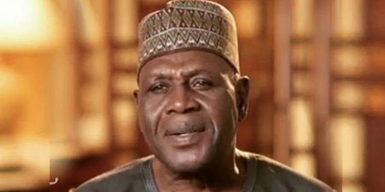 Buhari appoints Babagana Kingibe special envoy on Chad, Lake Chad basin region