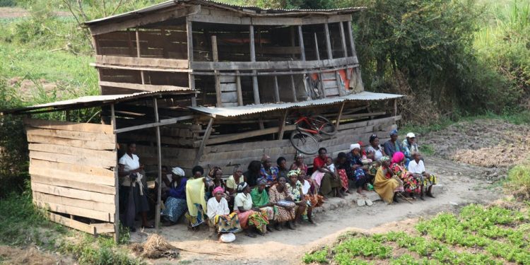 Why genocide survivors can offer a way to heal from the trauma of the pandemic year