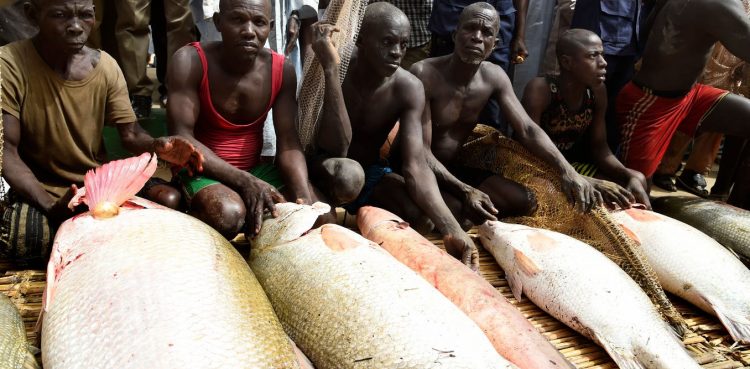 How illegal fishing harms Nigeria and what to do about it