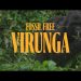Climate activists oppose oil exploration, call for a Fossil Free Virunga in new film