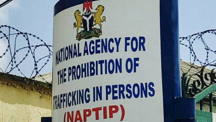 Buhari appoints Fatima Waziri-Aziz as DG of NAPTIP