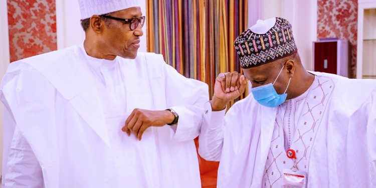 Revisiting Governor Inuwa Yahaya’s engagement with Mr President and his audacious, articulate presentation of issues affecting Gombe